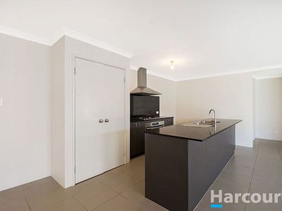 61 Jerrail Street, Yanchep