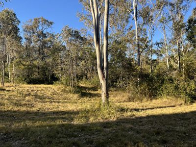 Lot 99 Beitzel Road, Nanango