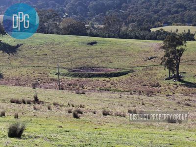 487 Old Tonga Road, Mansfield