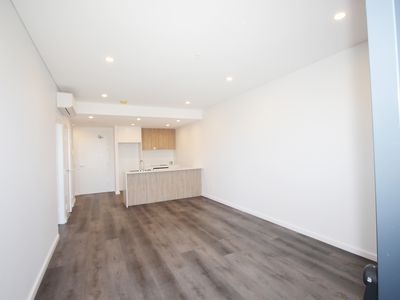 710 / 11 RAPHAEL STREET, Lidcombe