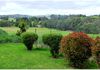 277 Fanning Road, Mullion Creek