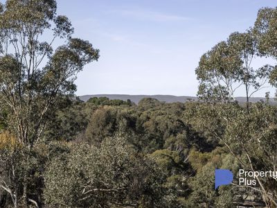 545 Muckleford-Yapeen Road, Yapeen