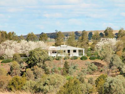 6297 Scone Road, Merriwa