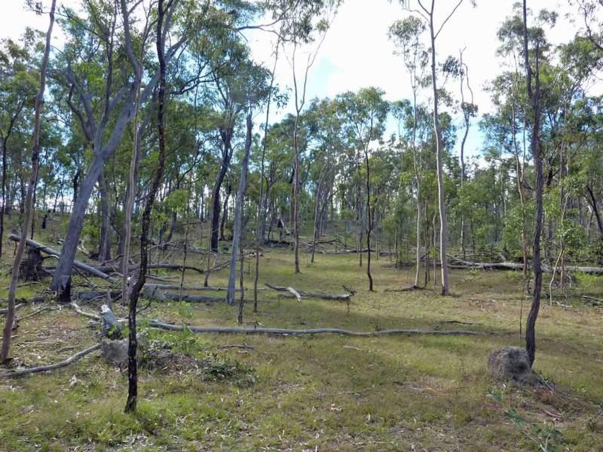 Ravenshoe