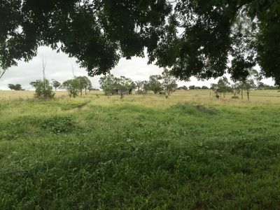 110 Rifle Range Road, Merriwa