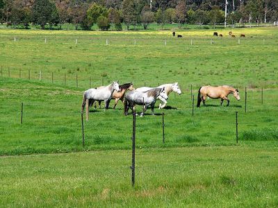 220 Tarcombe Road, Seymour