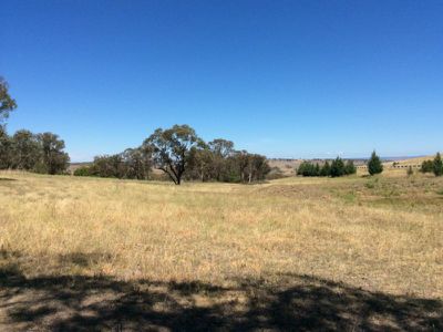 103 Black Mills Lane, O'connell