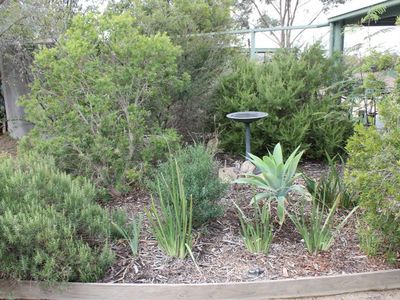 239 Heathcote-Nagambie Road, Heathcote