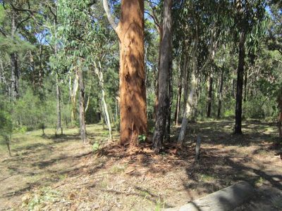 53 Biddulph Street, Eraring