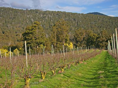 Lot 1, 1529 Huon Highway, Lower Longley