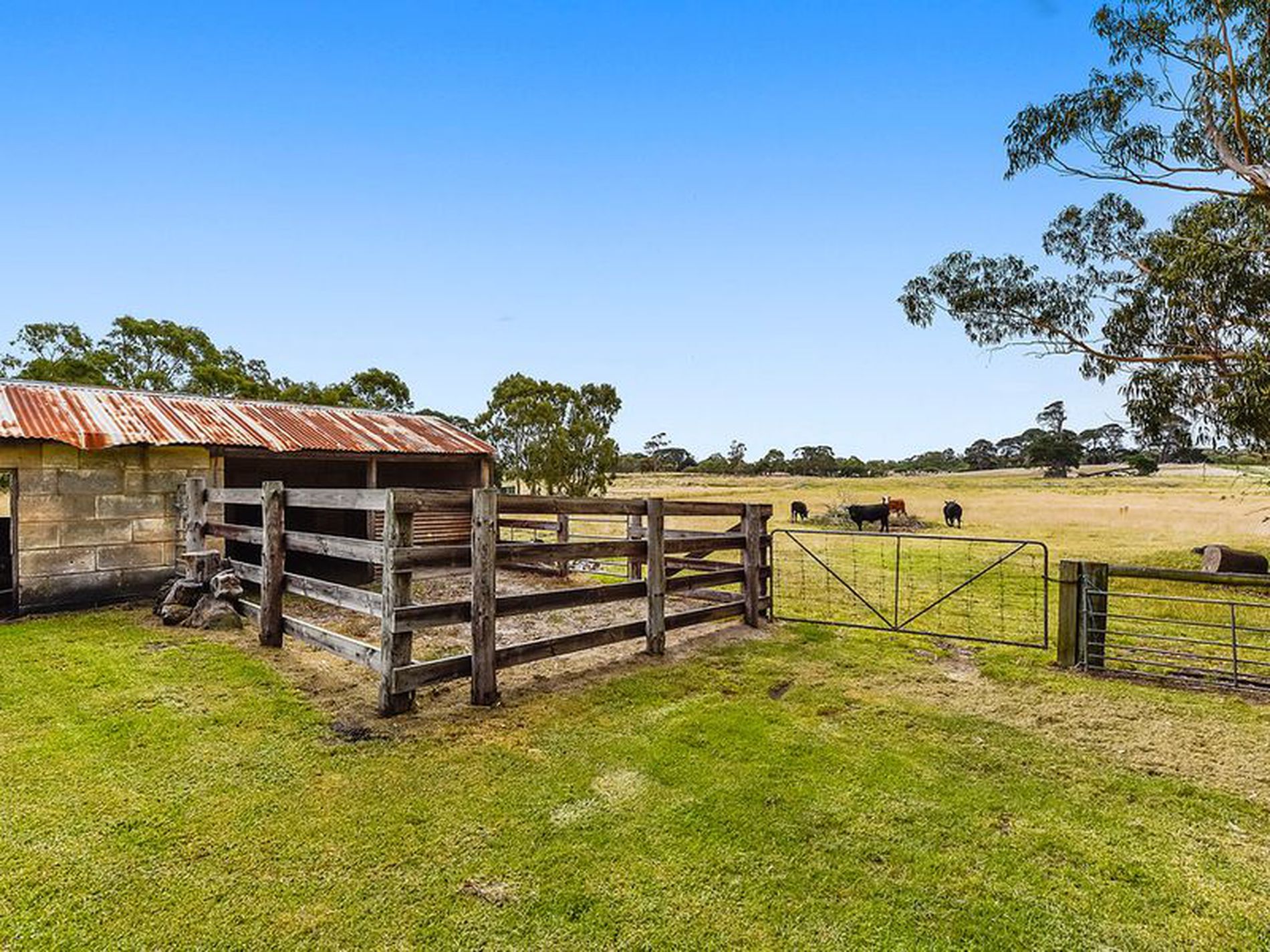 194 Hakea Drive , Millicent