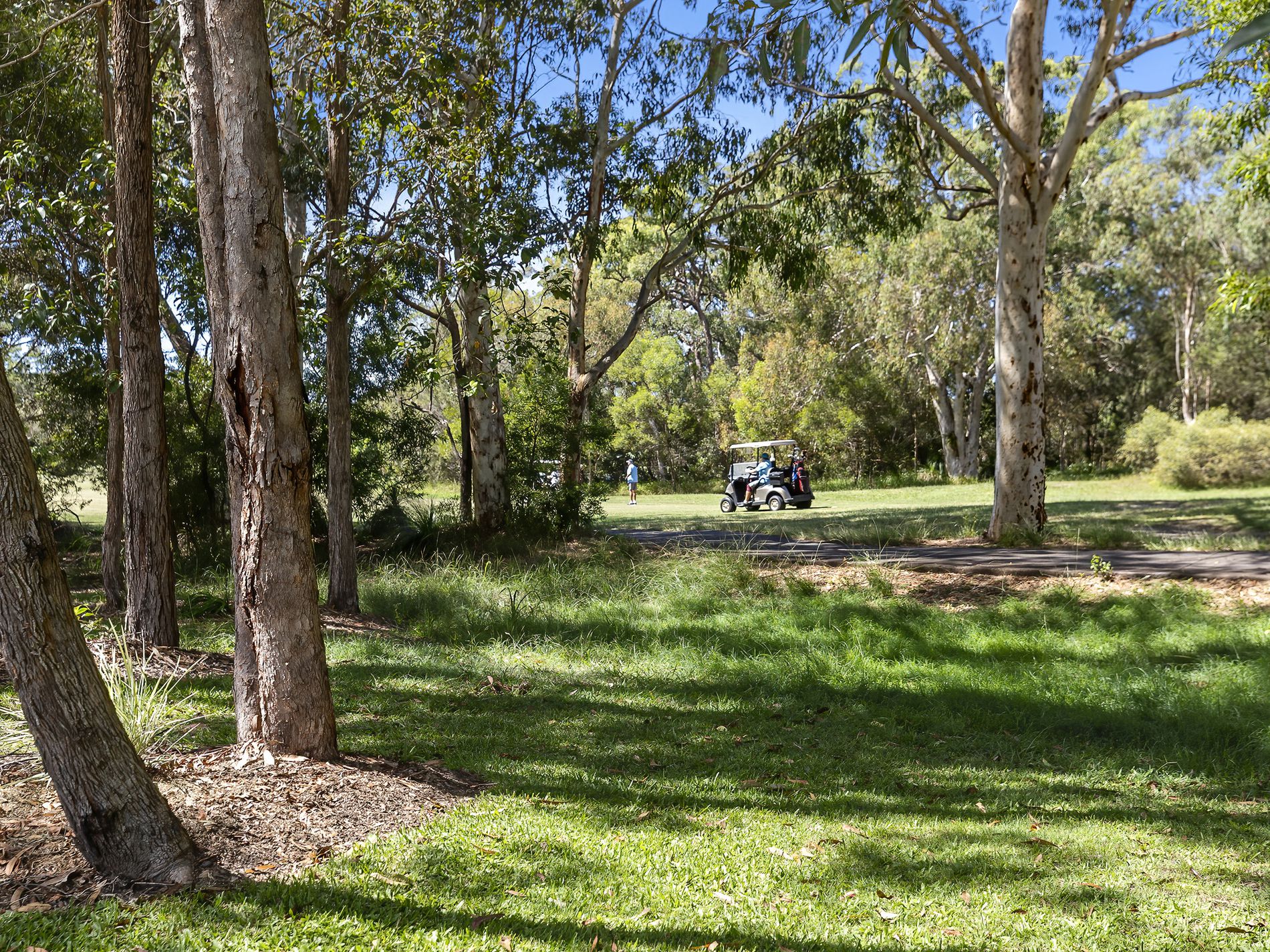 69 The Avenue, Peregian Springs