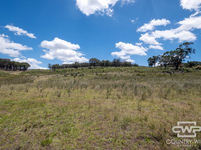 Lot 95, 2202 Wellington Vale Road, Emmaville