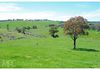 110 Offner Road, Borenore