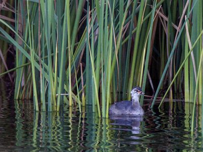 9635 SOUTHERN PORTS HIGHWAY, Beachport