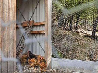 407 Wattle Grove Road, Wattle Grove