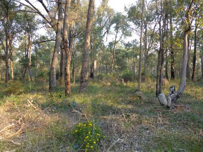 390 Robinson Road, Mahogany Creek