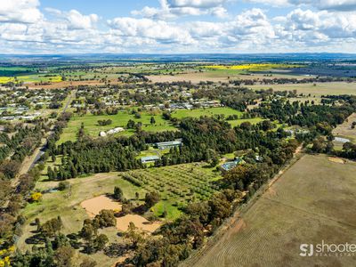 8 Werrigal Street, Wongarbon