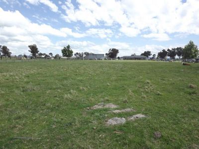 29 Galloway Place, Glen Innes