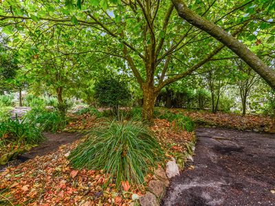 10 Elizabeth Street, Millicent