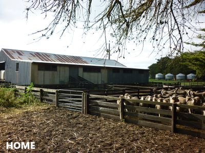 581 Mount Hope Road, Millicent