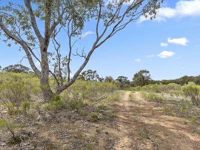 110 Bassett Lane, Hilldene