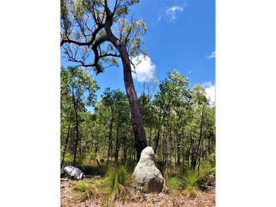 1105 Mount Amos Road, Cooktown