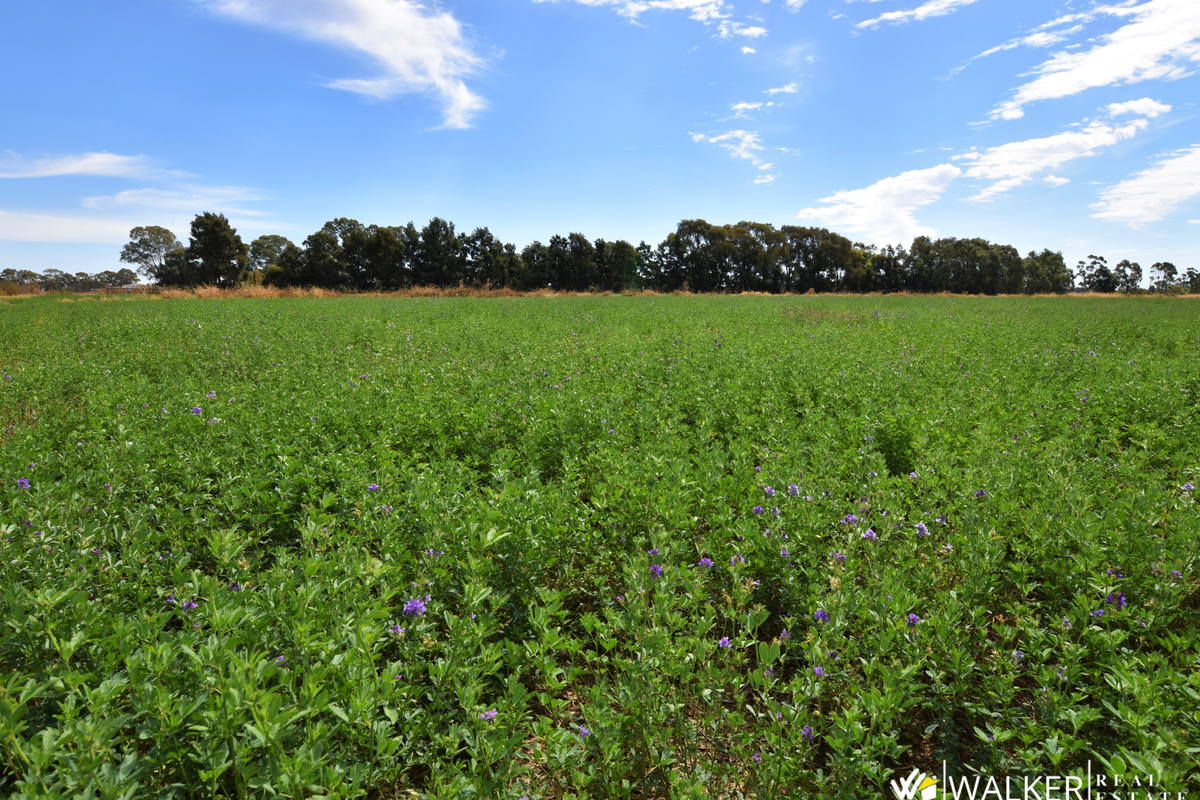 845 Trevaskis Road, Kyabram