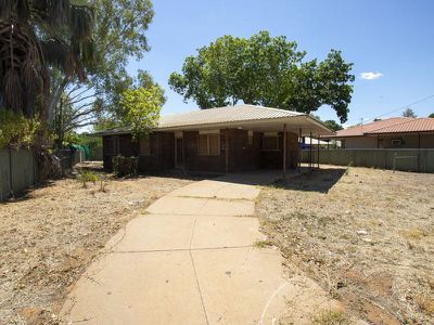13 Lemonwood Way, Kununurra