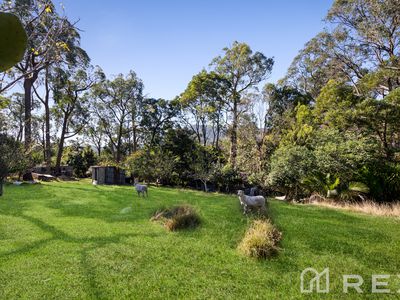 12 Basin-Olinda Road, The Basin