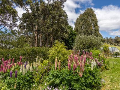 101 Arve Road, Geeveston