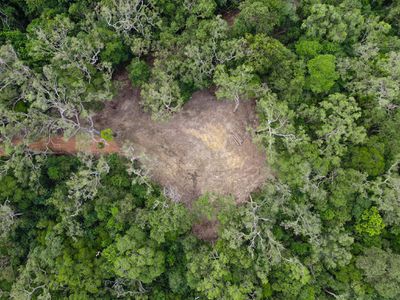 506 Cameron Creek Road, Cooktown