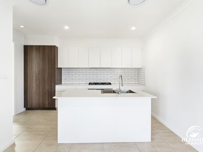 16 Planthopper Street, Marsden Park