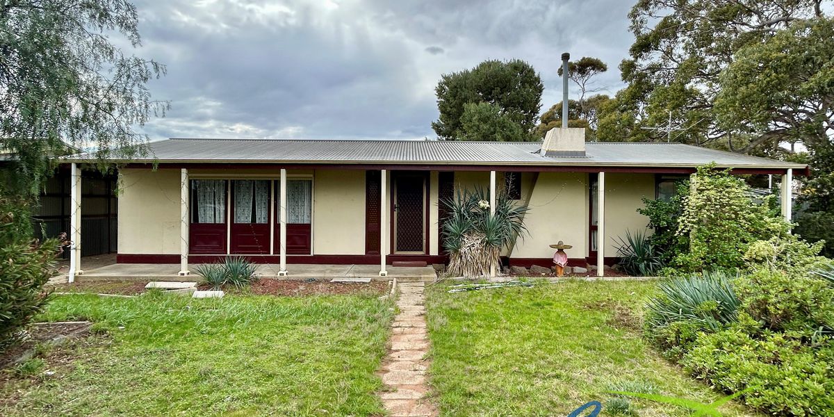 Large rear yard with shed