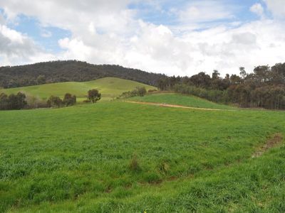 Beechworth-Wodonga Road, Wooragee