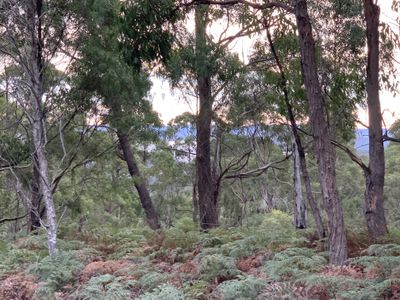 Lot 1 off Dam Road, Saltwater River