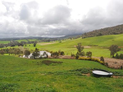 Beechworth-Wodonga Road, Wooragee