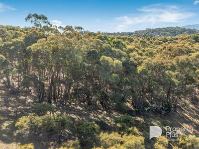 86 Riellys Road, Barkers Creek