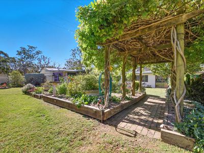 1175 Burragorang Road, Belimbla Park