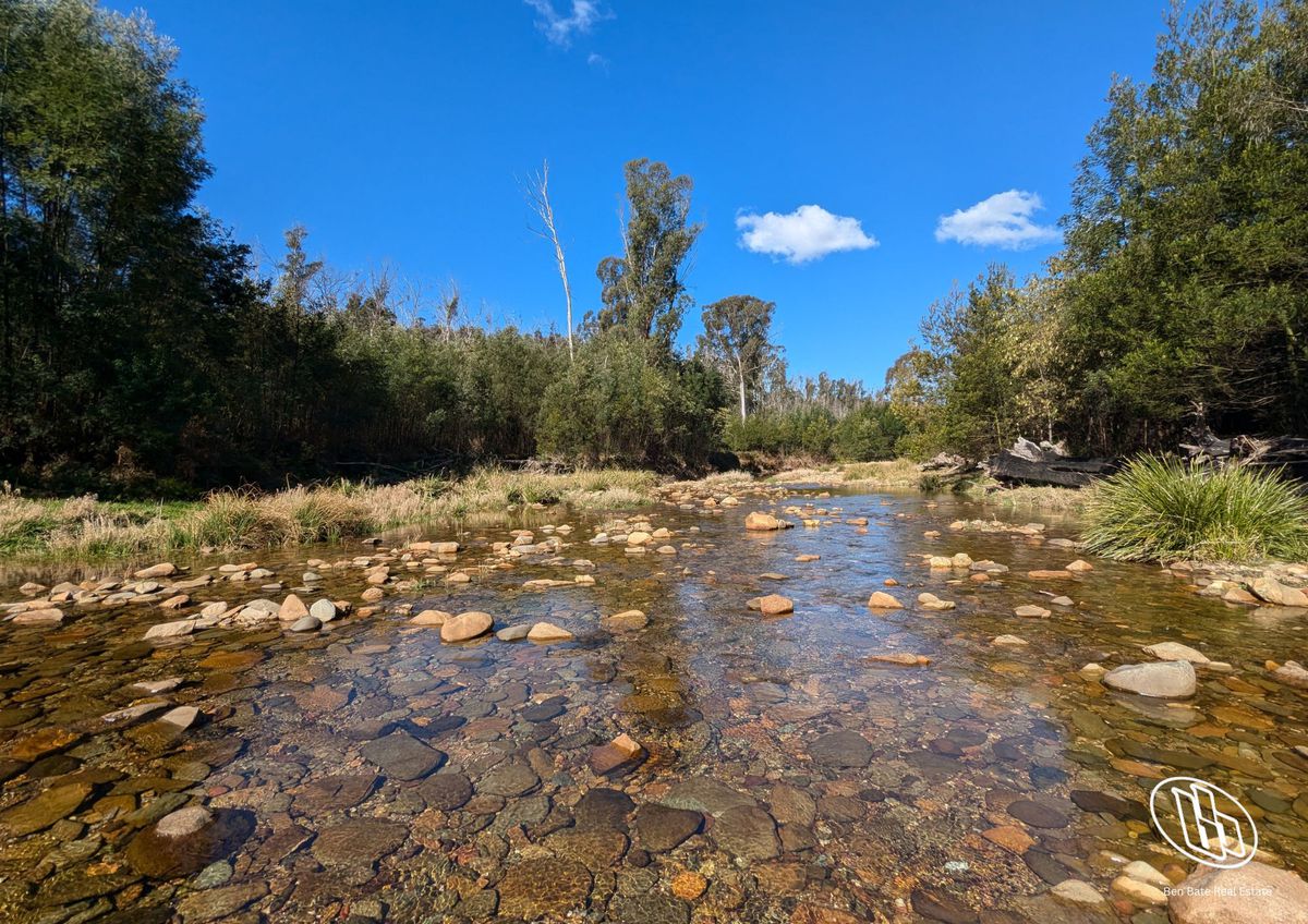115 Gulph Creek Road, Nerrigundah