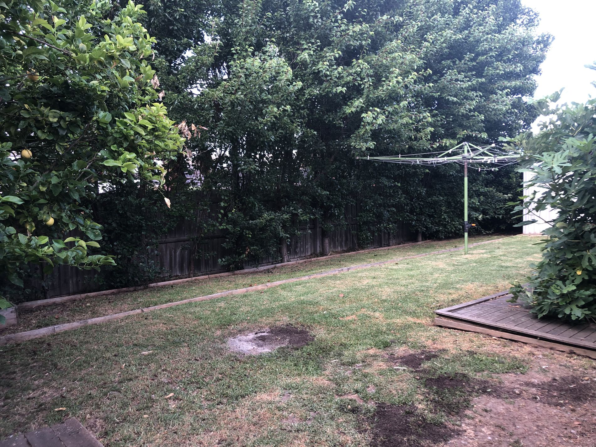 8 Thwaites Close, Highton