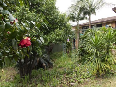 53 Wyoming Avenue, Burrill Lake