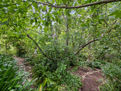 264 Ackland Hill Road, Coromandel East