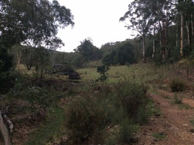 502 Bonaventure, Mount Lambie