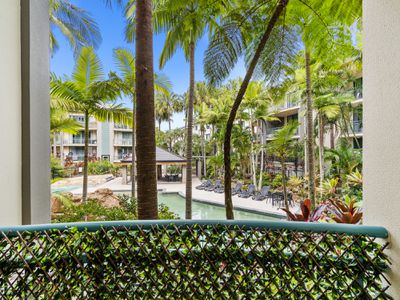 43 / 955  Gold Coast Highway, Palm Beach