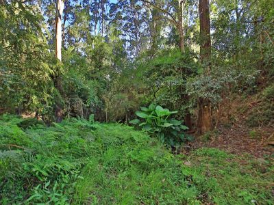 507 Upper Kangaroo River Road, Kangaroo Valley