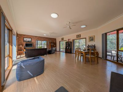 207 Dip Road, Wandella