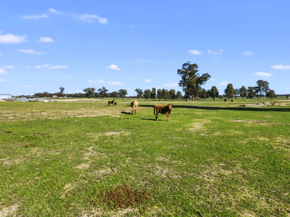 561 Burness Road, Tarnook