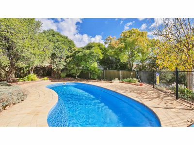 11 Poidevin Place, Dubbo