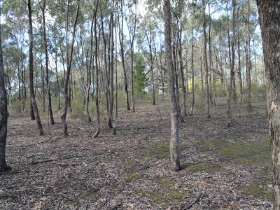 LOT 54 WARROWITUE-FOREST ROAD, Heathcote